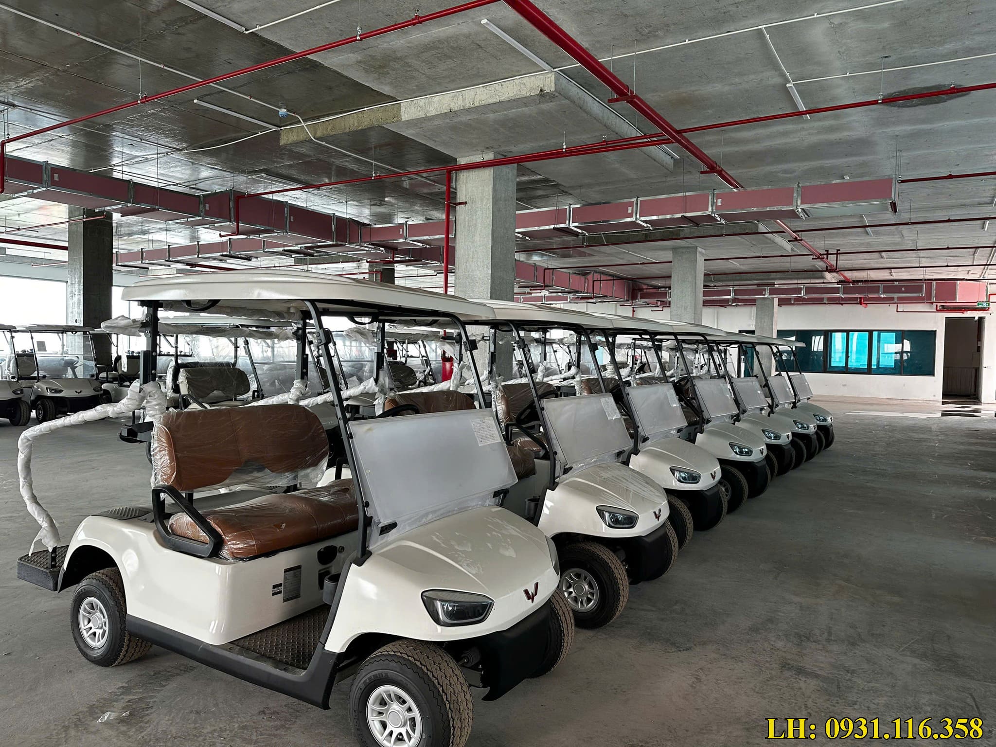 xe điện Wuling 2 chỗ