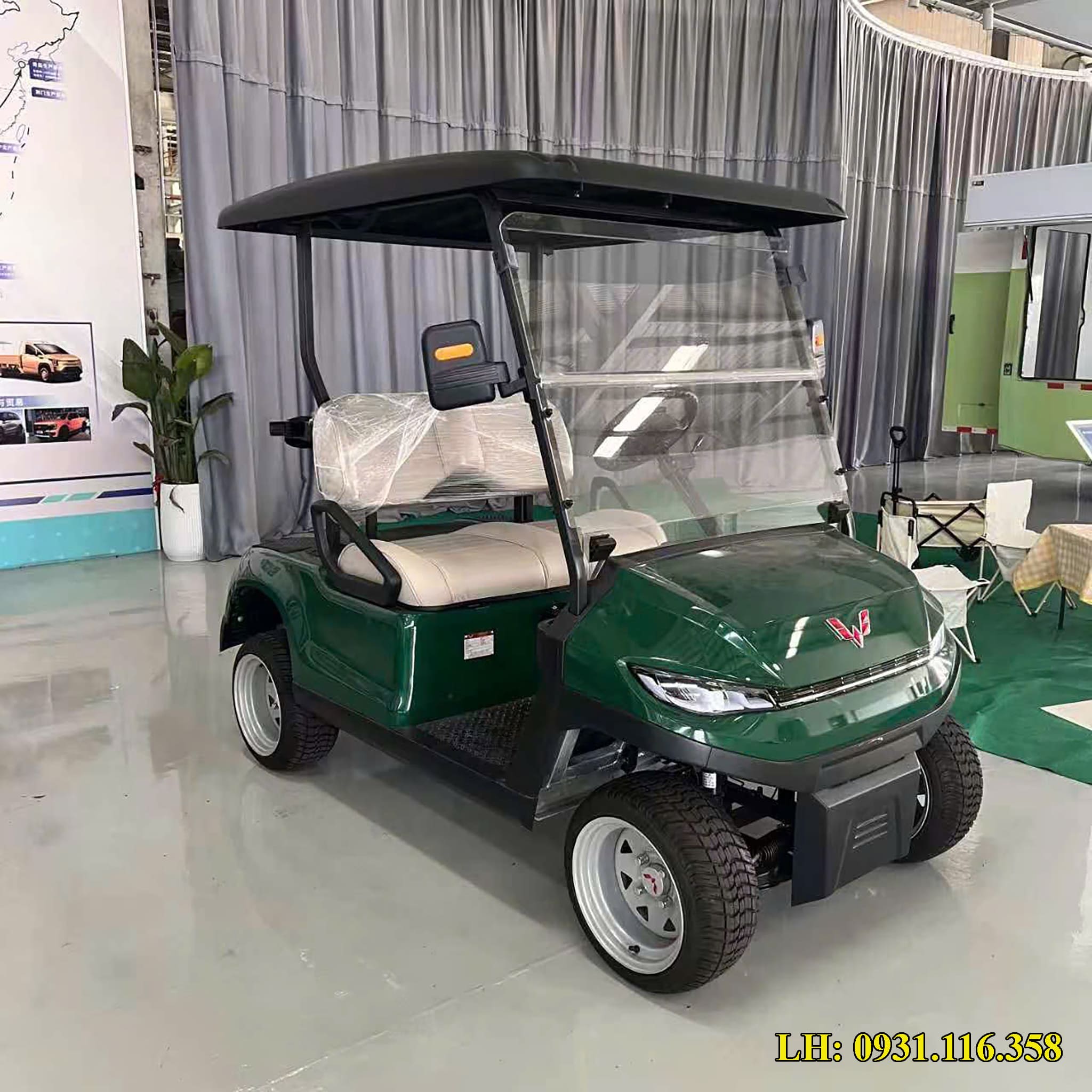 xe điện buggy 2 chỗ
