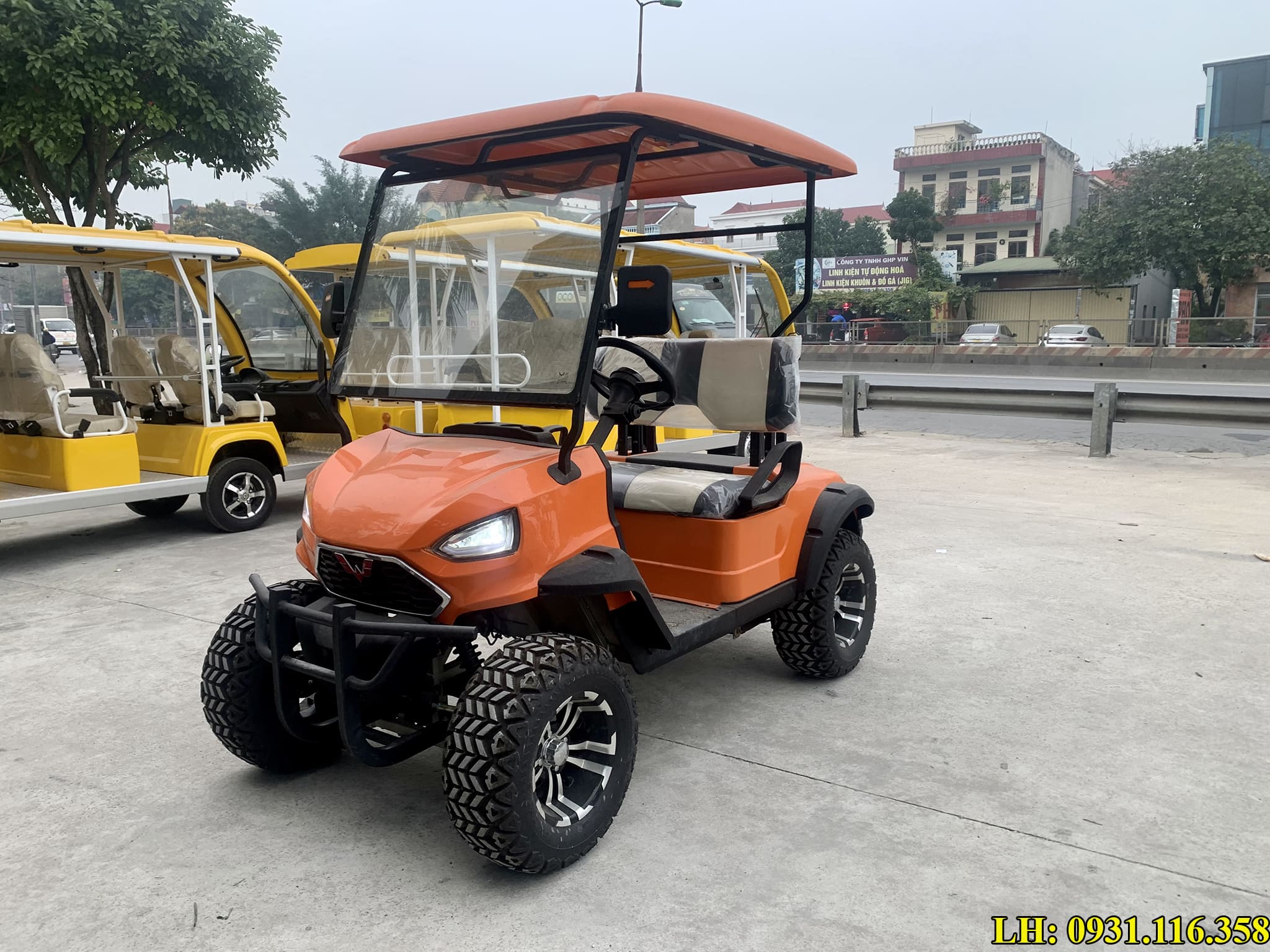 xe điện sân golf 2 chỗ